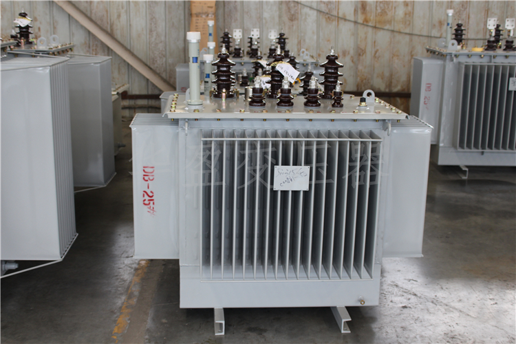 菏泽S20-800kVA/10kV/0.4kV变压器